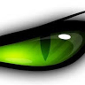 Meet your Posher, Janine